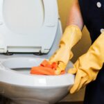 Toilet Cleaning
